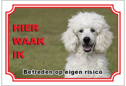 Poedel