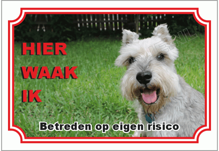 Schnauzer