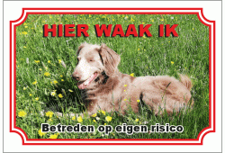 Weimaraner