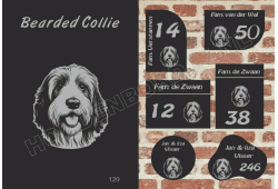 Naambord Bearded Collie