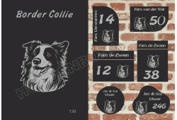 Naambord Border Collie