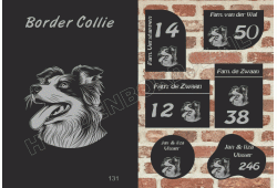 Naambord Border Collie