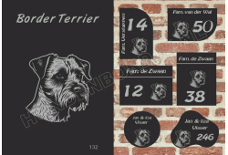 Naambord Border Terrier