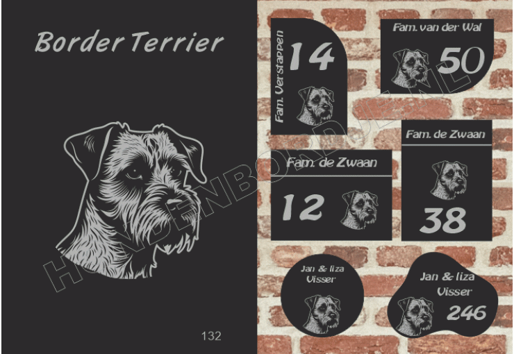 Naambord Border Terrier Naambord Border Terrier