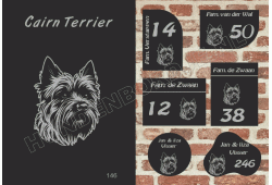 Naambord Cairn Terrier