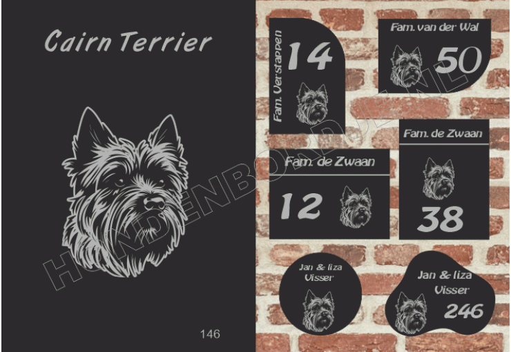 Naambord Cairn Terrier