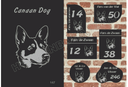 Naambord Canaan Dog