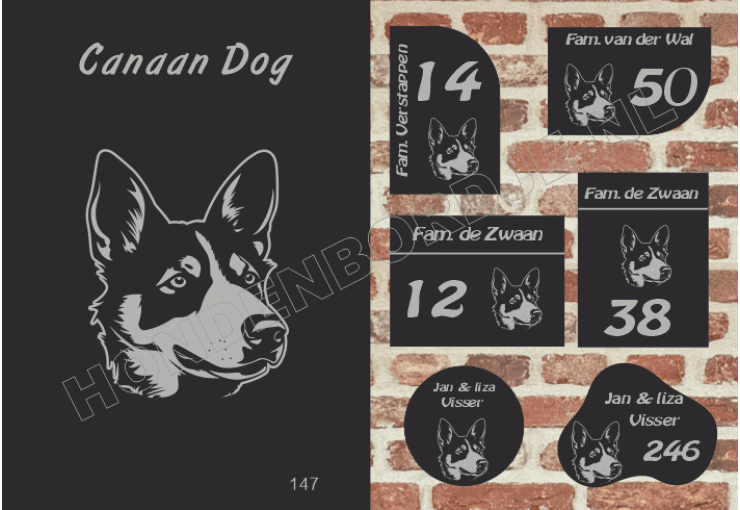 Naambord Canaan Dog