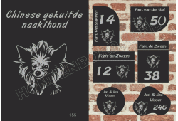 Naambord Chinese naakthond