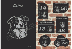 Naambord Collie