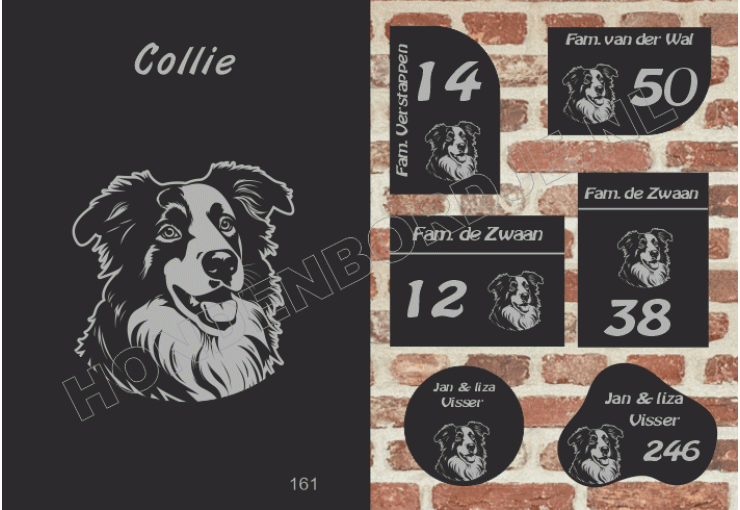Naambord Collie Naambord Collie