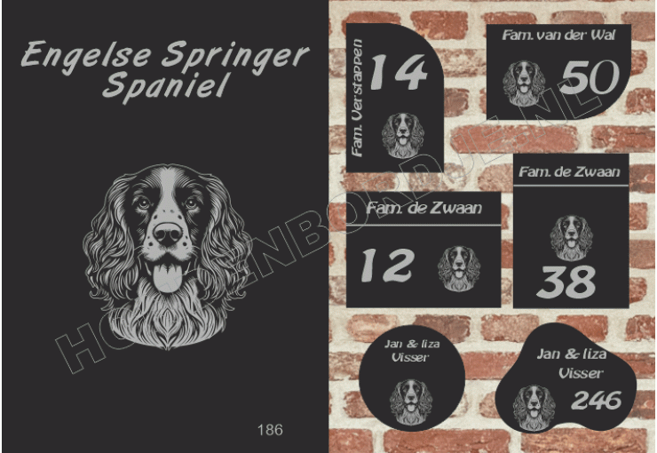 Naambord Eng.  Springer Spaniel