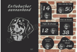 Naambord Entlebucher sennenhond