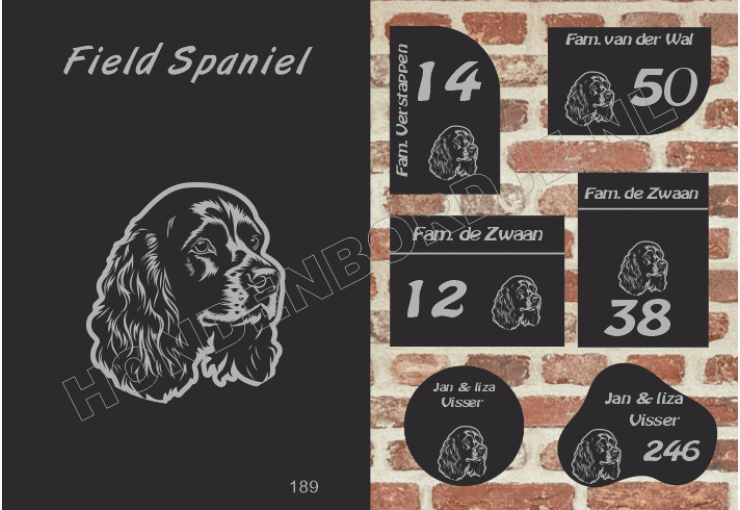 Naambord Field Spaniel