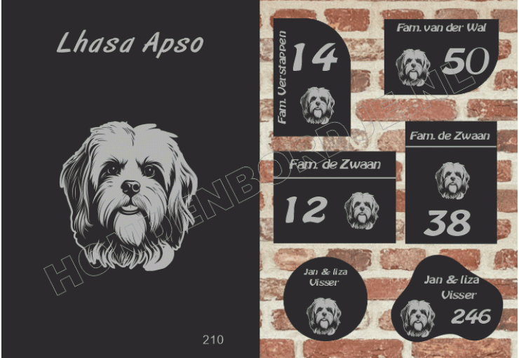 Naambord Lhasa Apso Naambord Lhasa Apso