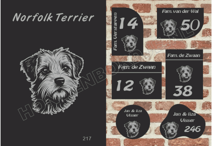 Naambord Norfolk Terrier Naambord Norfolk Terrier