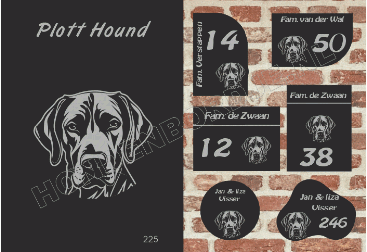 Naambord Plott Hound Naambord Plott Hound