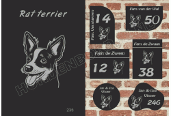 Naambord Rat terrier