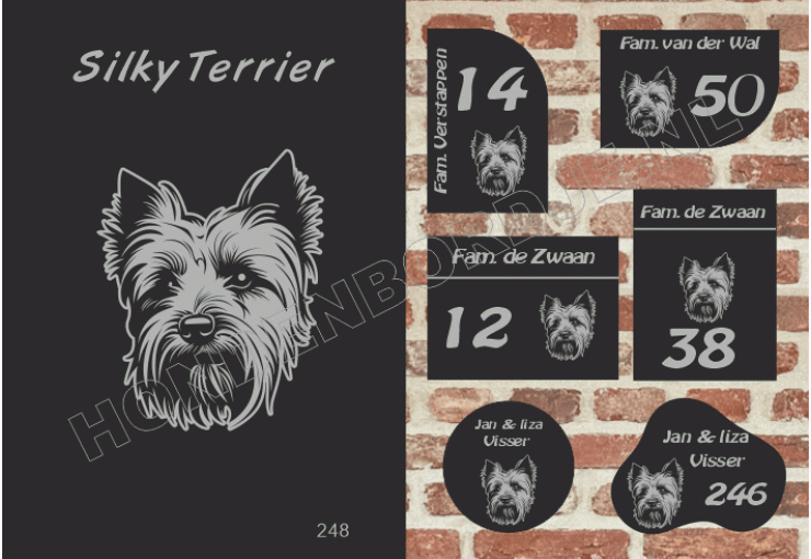 Naambord Silky Terrier Naambord Silky Terrier