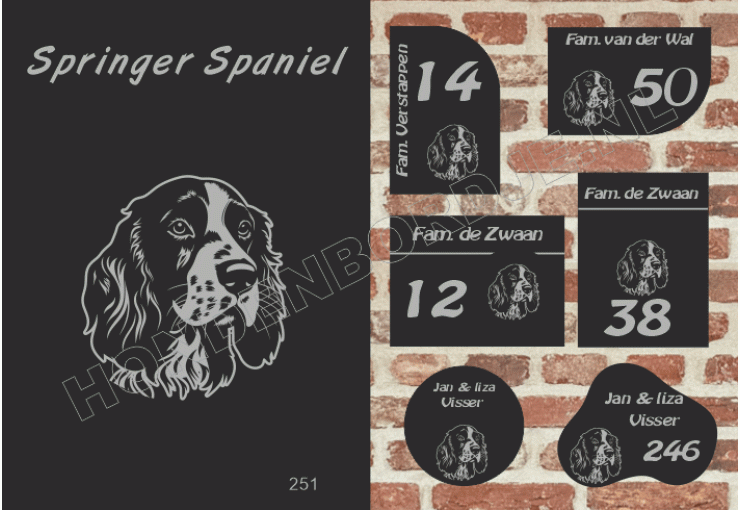 Naambord Springer Spaniel