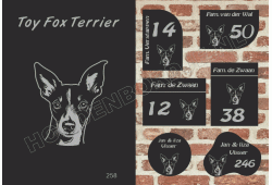 Naambord Toy Fox Terrier