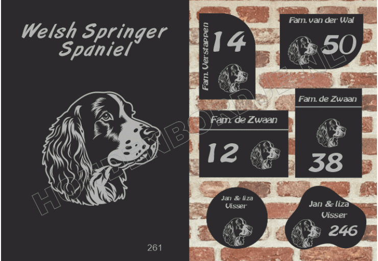 Naambord Welsh Springer Spaniel