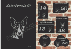 Naambord Xoloitzcuintli