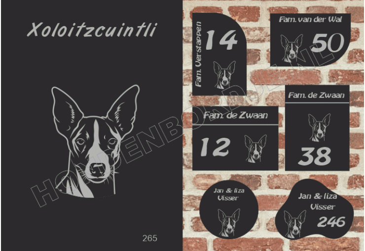 Naambord Xoloitzcuintli