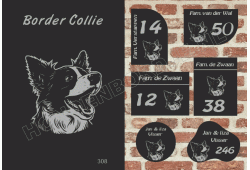 Naambord Border Collie