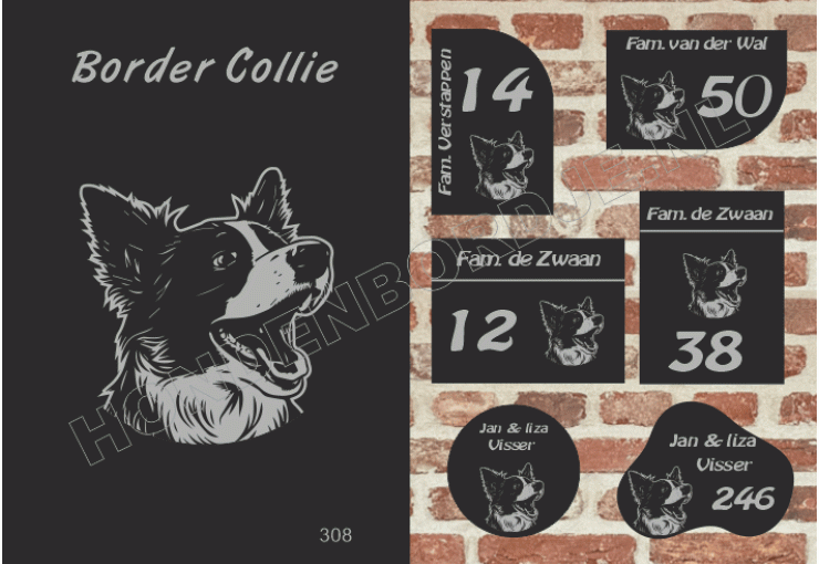 Naambord Border Collie