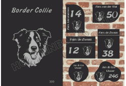 Naambord Border Collie