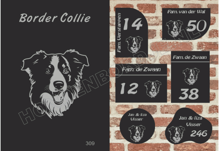 Naambord Border Collie
