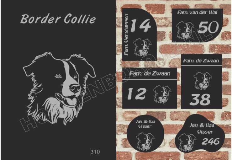 Naambord Border Collie
