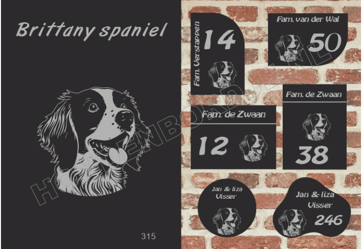 Naambord Brittany spaniel Naambord Brittany spaniel