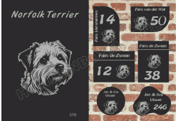 Naambord Norfolk Terrier