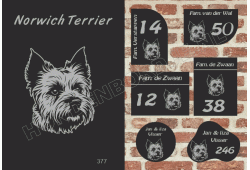 Naambord Norwich Terrier