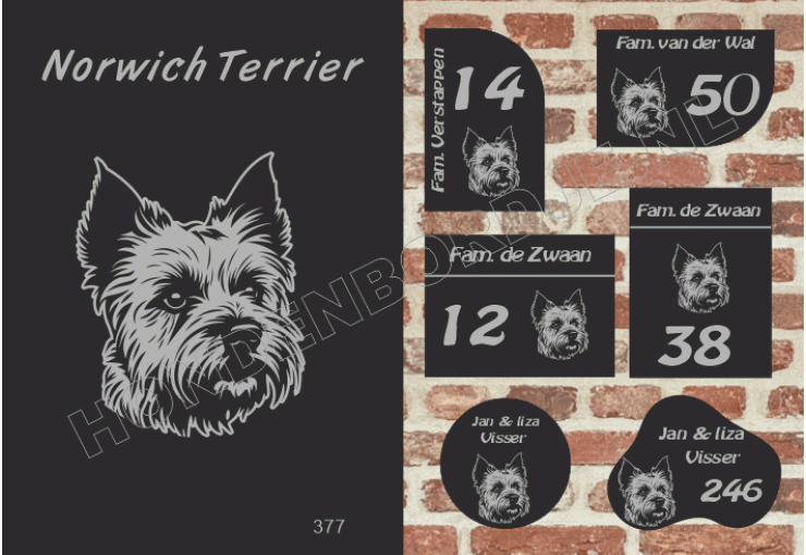 Naambord Norwich Terrier Naambord Norwich Terrier