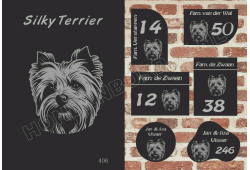 Naambord Silky Terrier