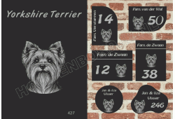 Naambord Yorkshire Terrier
