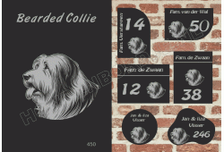 Naambord Bearded Collie