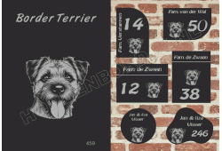 Naambord Border Terrier