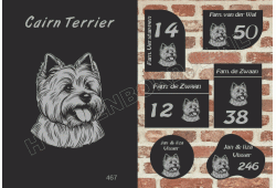 Naambord Cairn Terrier