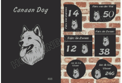 Naambord Canaan Dog