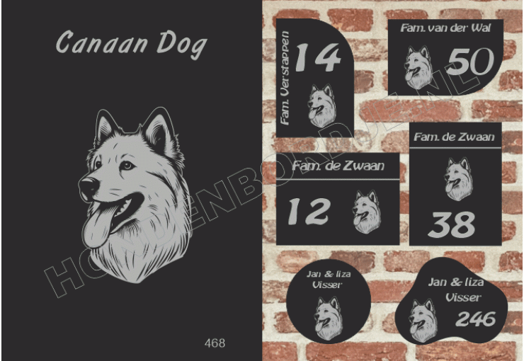 Naambord Canaan Dog Naambord Canaan Dog