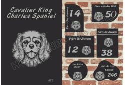 Naambord Cavalier King Charles