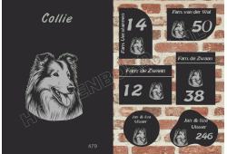 Naambord Collie