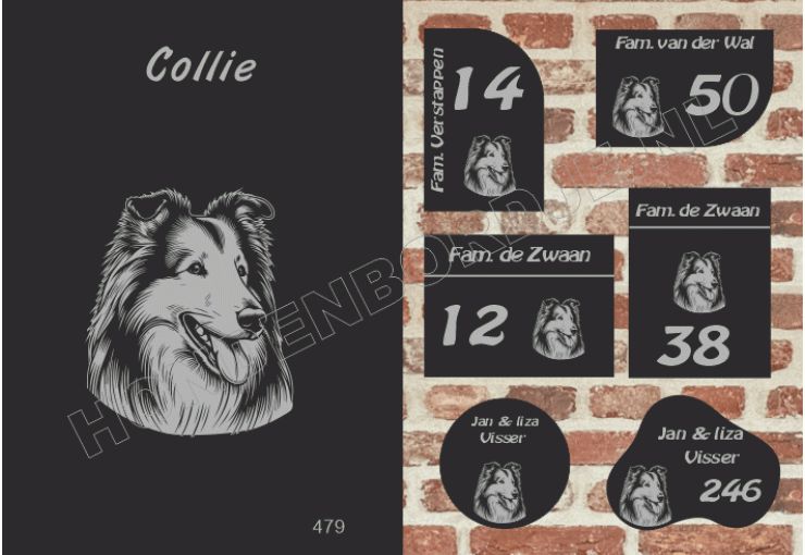 Naambord Collie