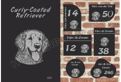 Naambord Curly-Coated Retriever