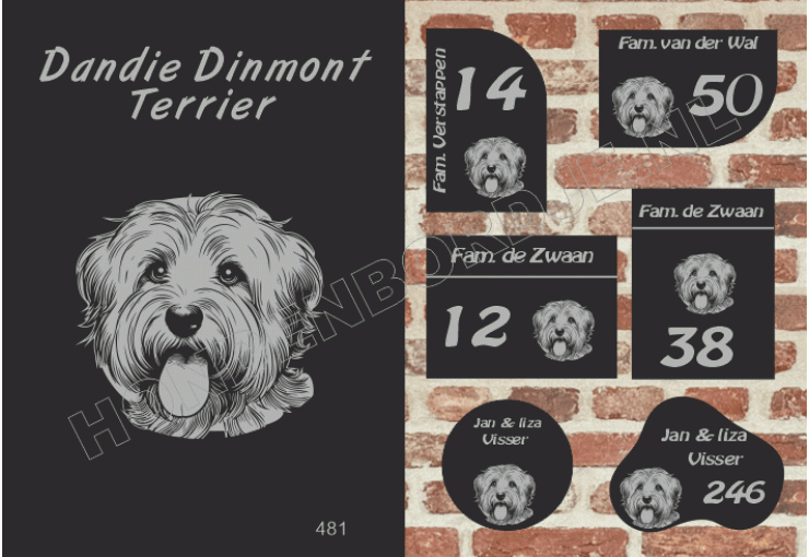Naambord Dandie Dinmont Terrier