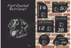 Naambord Flat-Coated Retriever